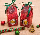 1 miód w kolorowym pudełku na Boże Narodzenie z 1 znakiem zodiaku