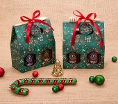 2 miody w kolorowym pudełku na Boże Narodzenie